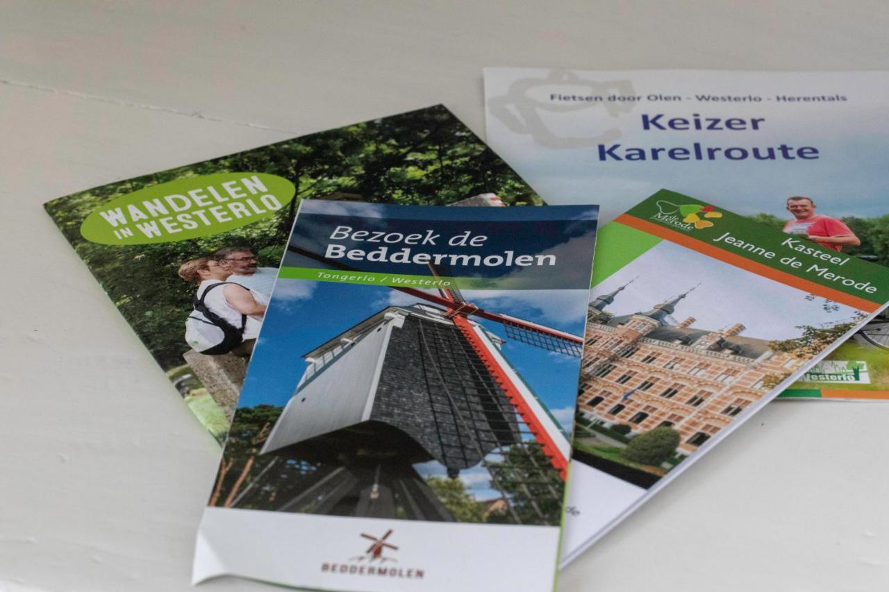 Beeltjens B&B: Wolf&Belle Westerlo Eksteriør bilde